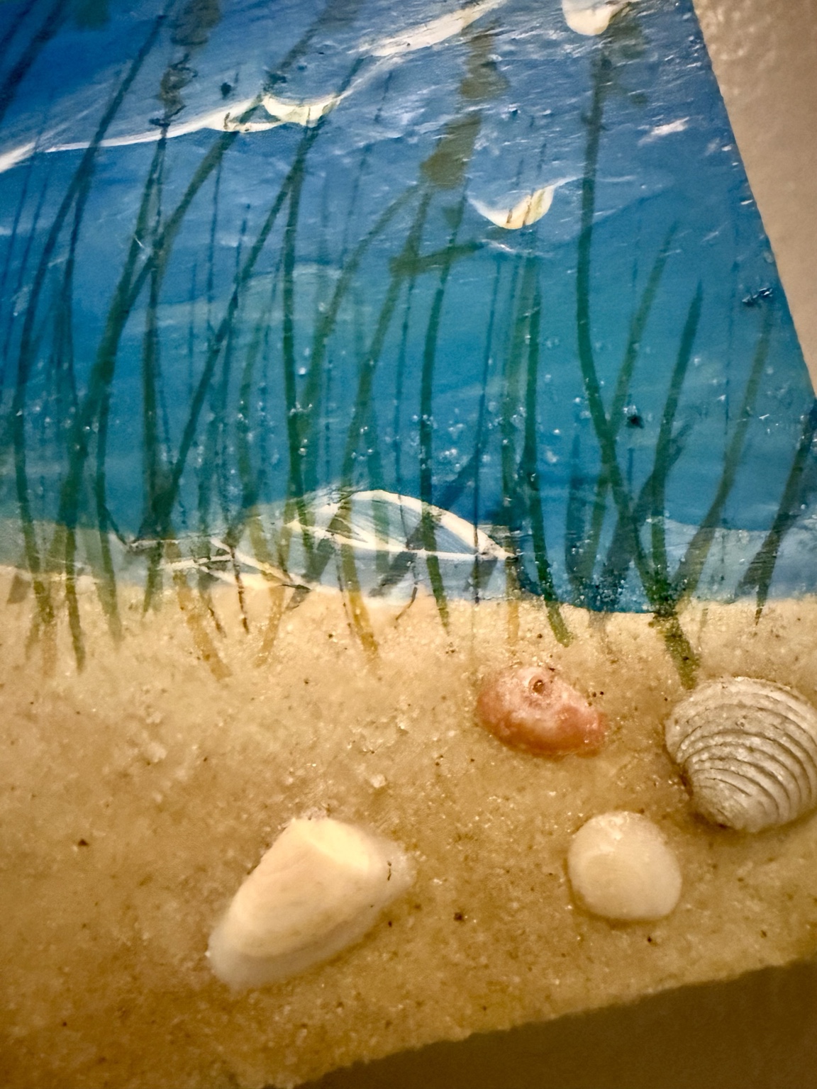 Close-up of dune grass and seashells painted on the beach