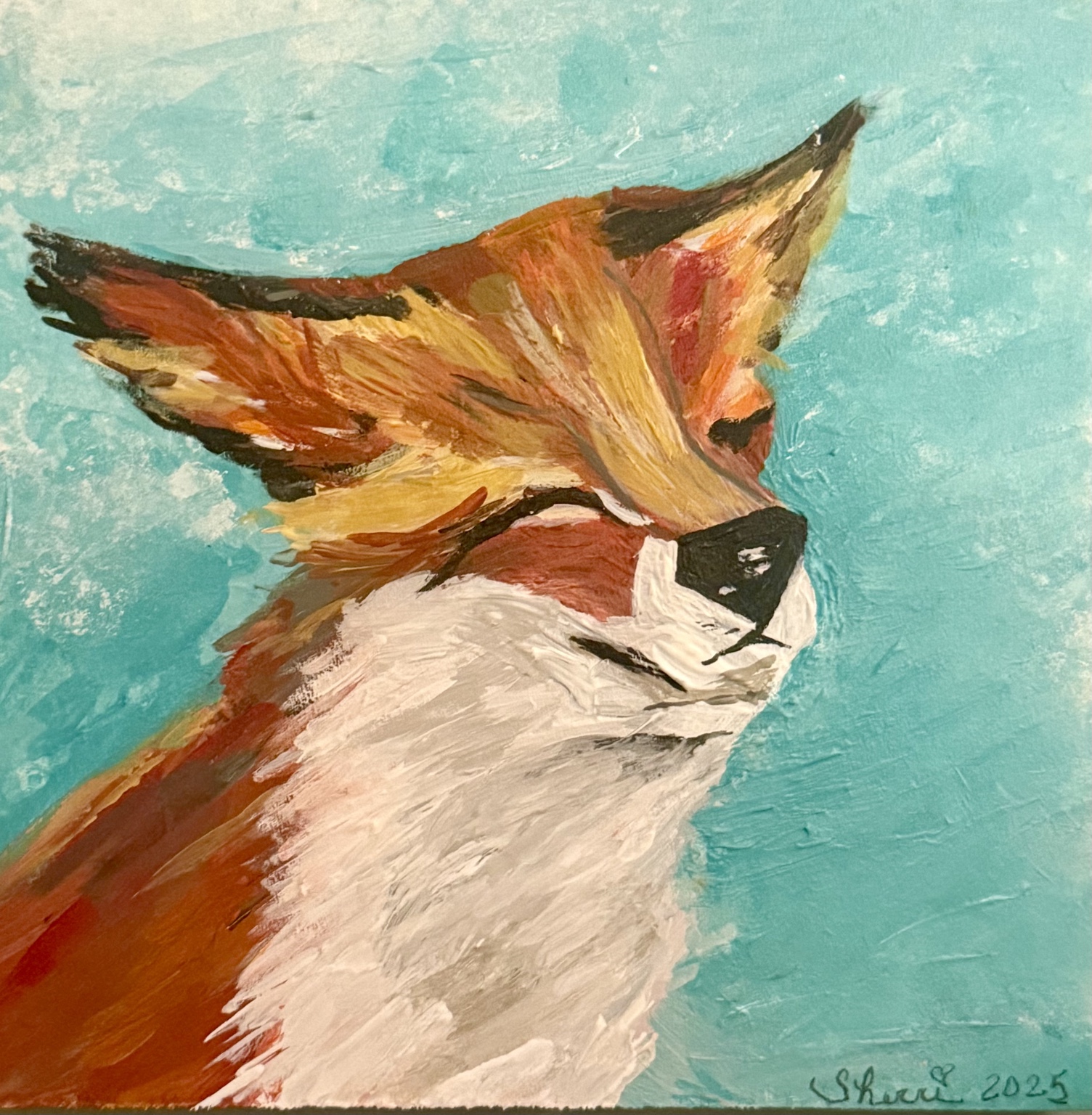 Red and white Dauphin Island fox against a turquoise background