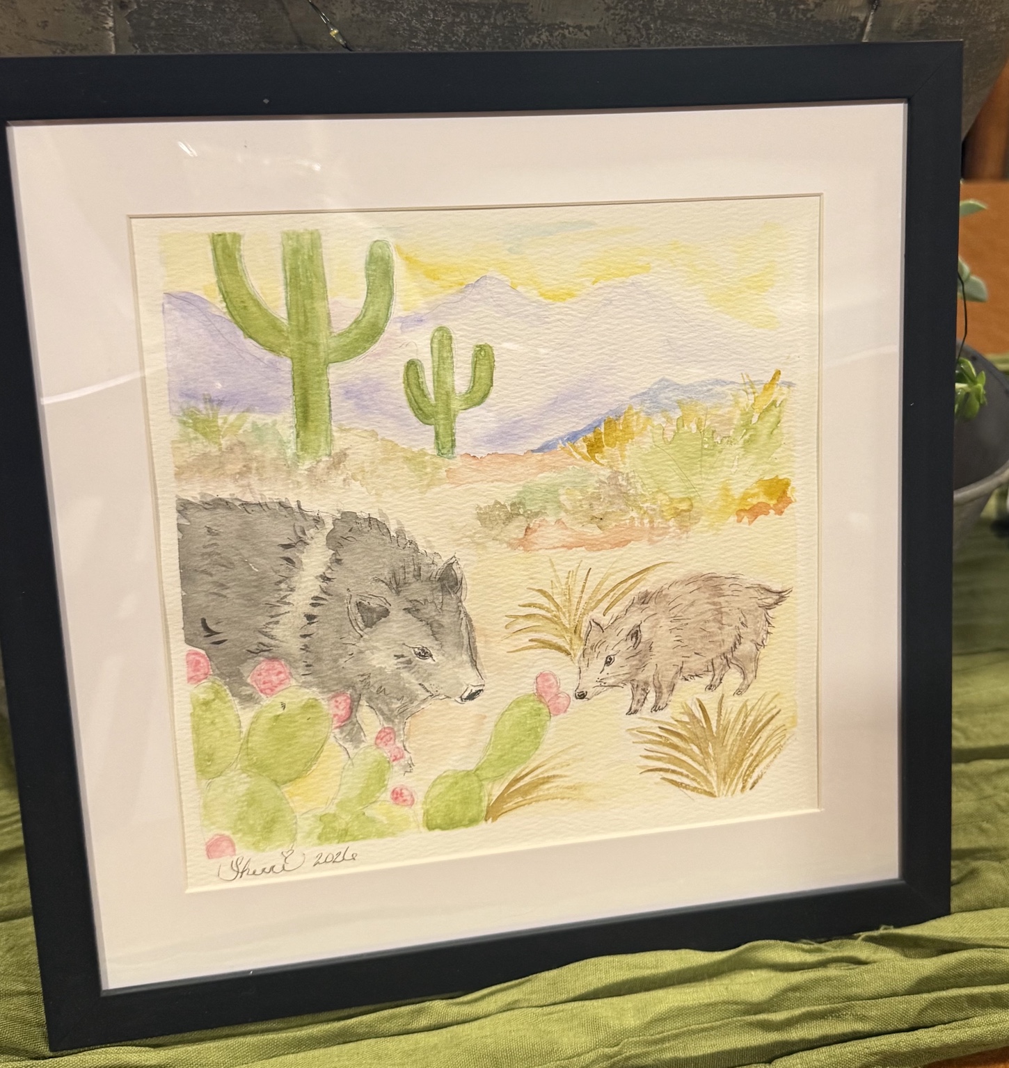 Watercolor of two javelinas among cactus