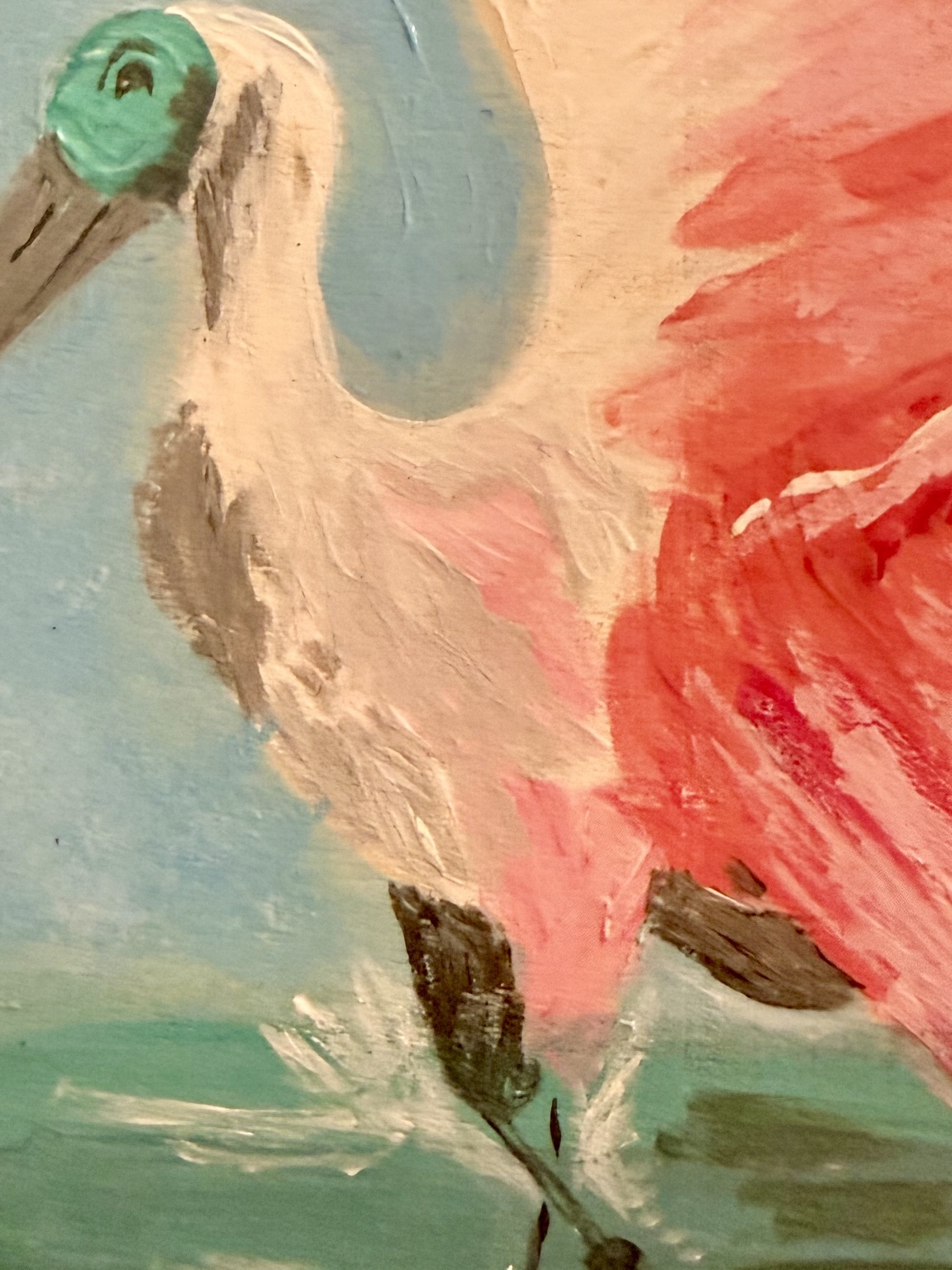 Close-up of textured pink feathers on the spoonbill